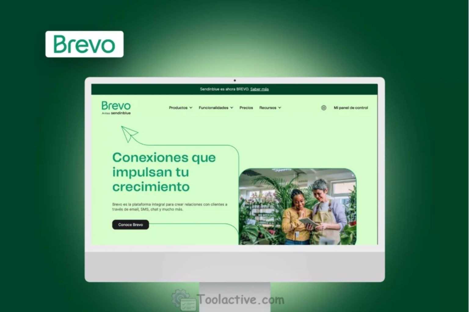 Best Newsletter Marketing Software & Tools: Complete 2025 Guide